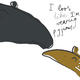 tapir image no. 3