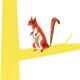 red squirrel