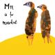 m is for meerkat