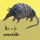 a is for armadillo