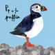 p is for puffin
