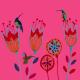 pink hummingbirds