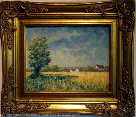 The Ripe Barley Field