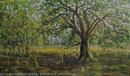 A Gate in the Forest
