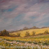 Mustard Fields of Norfolk (2011) #2082 - oil on canvas