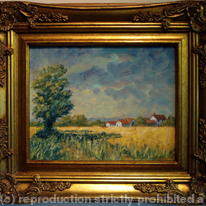 The Ripe Barley Field