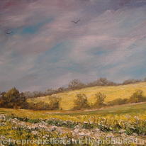 Mustard Fields of Norfolk (2011) #2082 