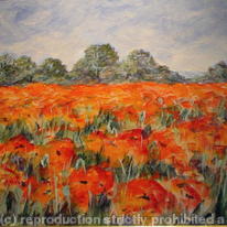 Poppies (2008) #43 