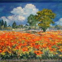  Poppies Galore (2008) #1039