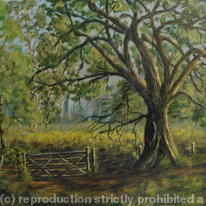 A Gate in the Forest