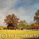 Country Cricket on a…