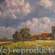 Barley Fields (2011)…