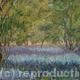 Dancing in the Bluebell…