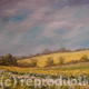 Mustard Fields of Norfolk…
