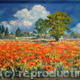 Poppies Galore (2008)…