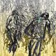 Movement-1 | | | Scanned multiple ink drawings on paper Movement-1