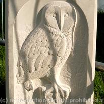 Barn Owl