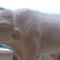 Hereford Bull - work in progress