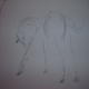 sketches (2)