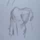 Horse drawn