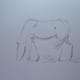 Horse drawn (6)