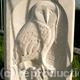 Barn Owl