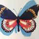 Butterfly painting 2