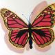 Butterfly painting 3