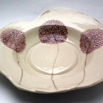 Allium 