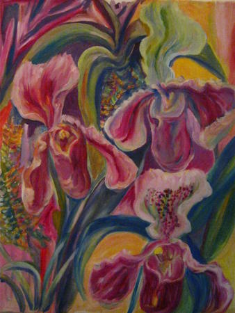 orchids 2011