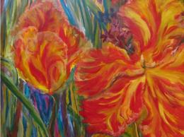 tulip 2011