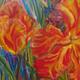 tulip 2011 | £100 | | oils on canvas tulip 2011