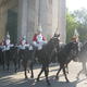 horse guards 22-10-2011