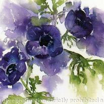 anenomes