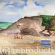 cannack sands: sketch | | | watercolour cannack sands: sketch