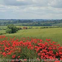 Midland Counties 002