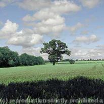 Midland Counties 003