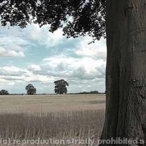 Midland Counties 005