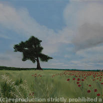 Poppy Hill