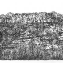 Hebden Bridge Wood