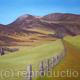 Glen Tilt, Scotland