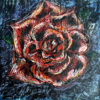 Rose in the Rain