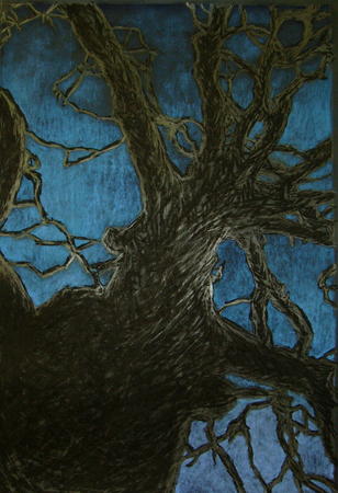 Tree Top