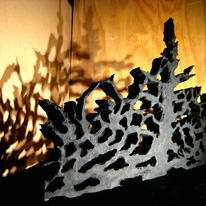 War Wood Maquet