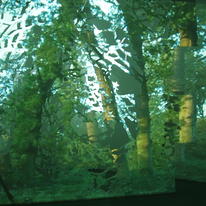 Bough II
