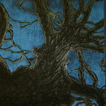 Tree Top