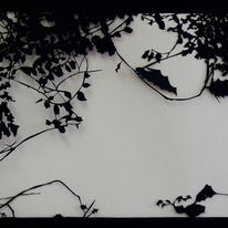 artwork-256434