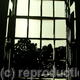 Tuymans Window (at Compton…