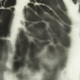Through a Glass Darkly…