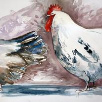 hidden Cock a Doodle